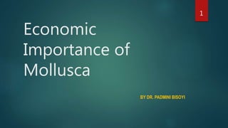 Economic
Importance of
Mollusca
BY DR. PADMINI BISOYI
1
 