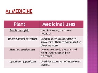 Plant Medicinal uses
Pteris multifold used in cancer, diarrhoea
hepatitis..
Ophioglassum costatum Used in antiviral, antidote to
snake bite, their rhizome used in
bleeding nose.
Marsilea condensata Leaves are used, diuretic and
plant used in snake bite
diarrhoea.
Lygodium japonicum Used for expulsion of intestional
worms.
As MEDICINE
 