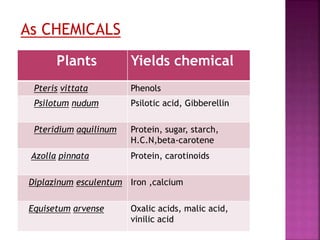Plants Yields chemical
Pteris vittata Phenols
Psilotum nudum Psilotic acid, Gibberellin
Pteridium aquilinum Protein, sugar, starch,
H.C.N,beta-carotene
Azolla pinnata Protein, carotinoids
Diplazinum esculentum Iron ,calcium
Equisetum arvense Oxalic acids, malic acid,
vinilic acid
As CHEMICALS
 