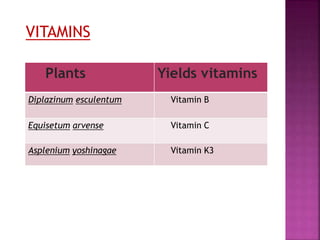 Plants Yields vitamins
Diplazinum esculentum Vitamin B
Equisetum arvense Vitamin C
Asplenium yoshinagae Vitamin K3
VITAMINS
 