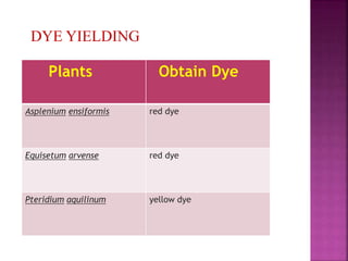 Plants Obtain Dye
Asplenium ensiformis red dye
Equisetum arvense red dye
Pteridium aquilinum yellow dye
DYE YIELDING
 