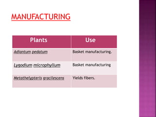 Plants Use
Adiantum pedatum Basket manufacturing.
Lygodium microphyllum Basket manufacturing
Metathelypteris gracilescens Yields fibers.
MANUFACTURING
 
