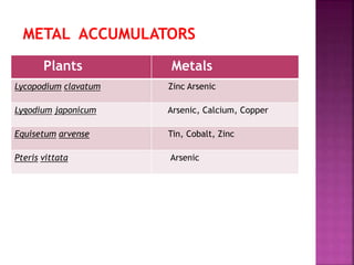 METAL ACCUMULATORS
Plants Metals
Lycopodium clavatum Zinc Arsenic
Lygodium japonicum Arsenic, Calcium, Copper
Equisetum arvense Tin, Cobalt, Zinc
Pteris vittata Arsenic
 