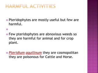  Pteridophytes are mostly useful but few are
harmful.

 Few pteridophytes are abnoxious weeds so
they are harmful for animal and for crop
plant.
 Pteridium aquilinum they are cosmopolitan
they are poisonous for Cattle and Horse.
 