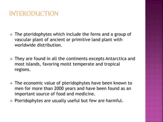  The pteridophytes which include the ferns and a group of
vascular plant of ancient or primitive land plant with
worldwide distribution.
 They are found in all the continents excepts Antarctica and
most islands, favoring moist temperate and tropical
regions.
 The economic value of pteridophytes have been known to
men for more than 2000 years and have been found as an
important source of food and medicine.
 Pteridophytes are usually useful but few are harmful.
 