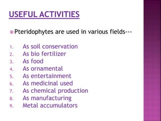  Pteridophytes are used in various fields---
1. As soil conservation
2. As bio fertilizer
3. As food
4. As ornamental
5. As entertainment
6. As medicinal used
7. As chemical production
8. As manufacturing
9. Metal accumulators
 