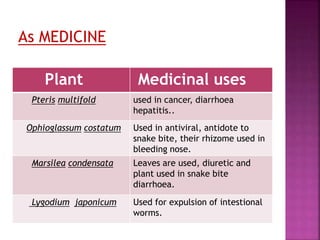 Plant Medicinal uses
Pteris multifold used in cancer, diarrhoea
hepatitis..
Ophioglassum costatum Used in antiviral, antid...