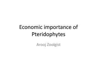 Economic importance of
Pteridophytes
Arooj Zoolgist
 