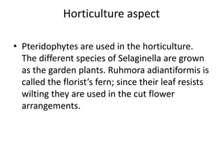 Horticulture aspect
• Pteridophytes are used in the horticulture.
The different species of Selaginella are grown
as the garden plants. Ruhmora adiantiformis is
called the florist’s fern; since their leaf resists
wilting they are used in the cut flower
arrangements.
 