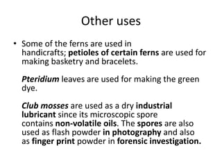 Other uses
• Some of the ferns are used in
handicrafts; petioles of certain ferns are used for
making basketry and bracelets.
Pteridium leaves are used for making the green
dye.
Club mosses are used as a dry industrial
lubricant since its microscopic spore
contains non-volatile oils. The spores are also
used as flash powder in photography and also
as finger print powder in forensic investigation.
 