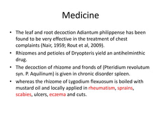 Medicine
• The leaf and root decoction Adiantum philippense has been
found to be very effective in the treatment of chest
complaints (Nair, 1959; Rout et al, 2009).
• Rhizomes and petioles of Dryopteris yield an antihelminthic
drug.
• The decoction of rhizome and fronds of (Pteridium revolutum
syn. P. Aquilinum) is given in chronic disorder spleen.
• whereas the rhizome of Lygodium flexuosum is boiled with
mustard oil and locally applied in rheumatism, sprains,
scabies, ulcers, eczema and cuts.
 