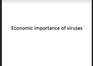 Economic importance of virus in different fields like ecology, human disease, agriculture, biological research.