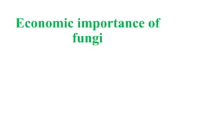 Economic importance of
fungi
 