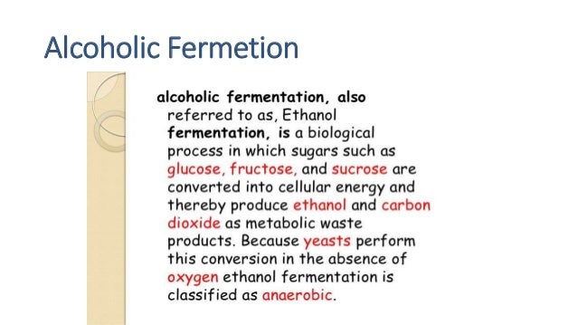 Economic Important In Fungi