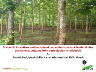 Economic incentives and household perceptions on smallholder timber plantations: Lessons from case studies in Indonesia By:  Dede Rohadi, Maarit Kallio, Haruni Krisnawati and Philip Manalu 