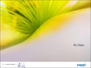 | Economic Indicators |12
Ifo Data
 