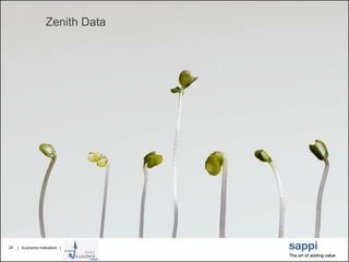 | Economic Indicators |24
Zenith Data
 