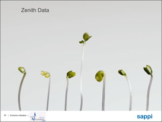 | Economic Indicators | 
24 
Zenith Data  