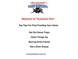 Welcome to “Economic Pest”
Top Tips For Pest Proofing Your Home
economicpest.com.au
Set Out Some Traps
Clean Things Up
Seal Up Entry Points
Get a Door Sweep
 