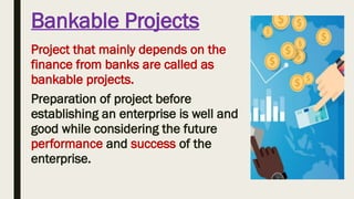 Comprehensive Guide to Bankable Agricultural Project Preparation and ...