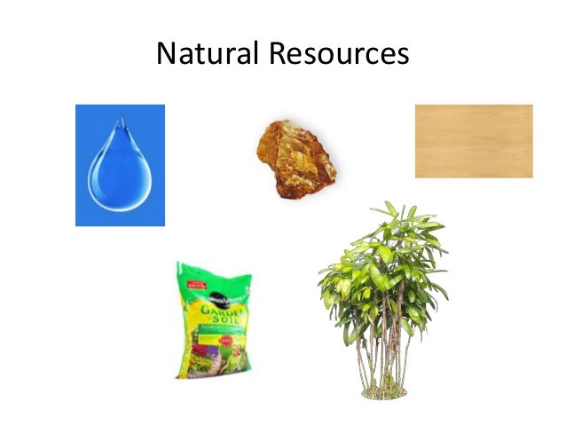 economic resources good economic resources
