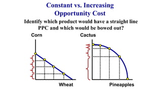 Constant vs. Increasing
Opportunity Cost
Corn
Wheat
Cactus
Pineapples
Identify which product would have a straight line
PPC and which would be bowed out?
 