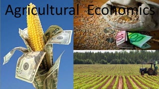 Agricultural Economics
 