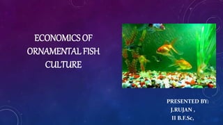 ECONOMICS OF
ORNAMENTAL FISH
CULTURE
PRESENTED BY:
J.RUJAN ,
II B.F.Sc,
 