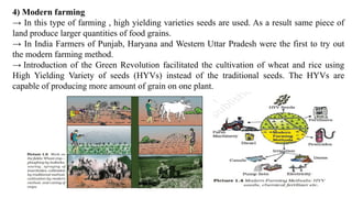 4) Modern farming
→ In this type of farming , high yielding varieties seeds are used. As a result same piece of
land produce larger quantities of food grains.
→ In India Farmers of Punjab, Haryana and Western Uttar Pradesh were the first to try out
the modern farming method.
→ Introduction of the Green Revolution facilitated the cultivation of wheat and rice using
High Yielding Variety of seeds (HYVs) instead of the traditional seeds. The HYVs are
capable of producing more amount of grain on one plant.
 
