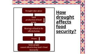 How
drought
affects
food
security?
 