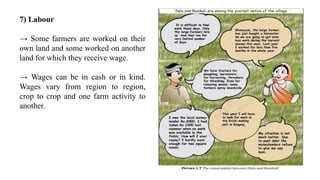 7) Labour
→ Some farmers are worked on their
own land and some worked on another
land for which they receive wage.
→ Wages can be in cash or in kind.
Wages vary from region to region,
crop to crop and one farm activity to
another.
 