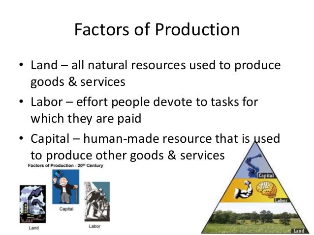 Natural Resources That Are Used To Make Goods And Services Natural Resources That Are Used To Make Goods And Services