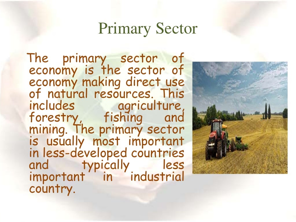 Economics Activities