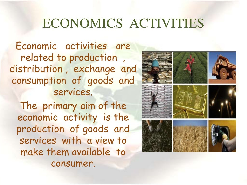Economics activities
