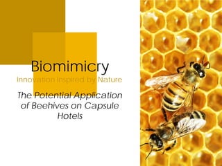 Biomimicry
Innovation Inspired by Nature
The Potential Application
of Beehives on Capsule
Hotels
 
