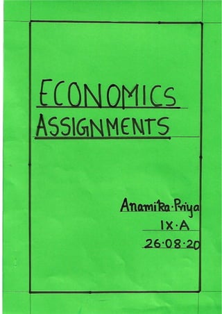Economics-Grade 9- assignment