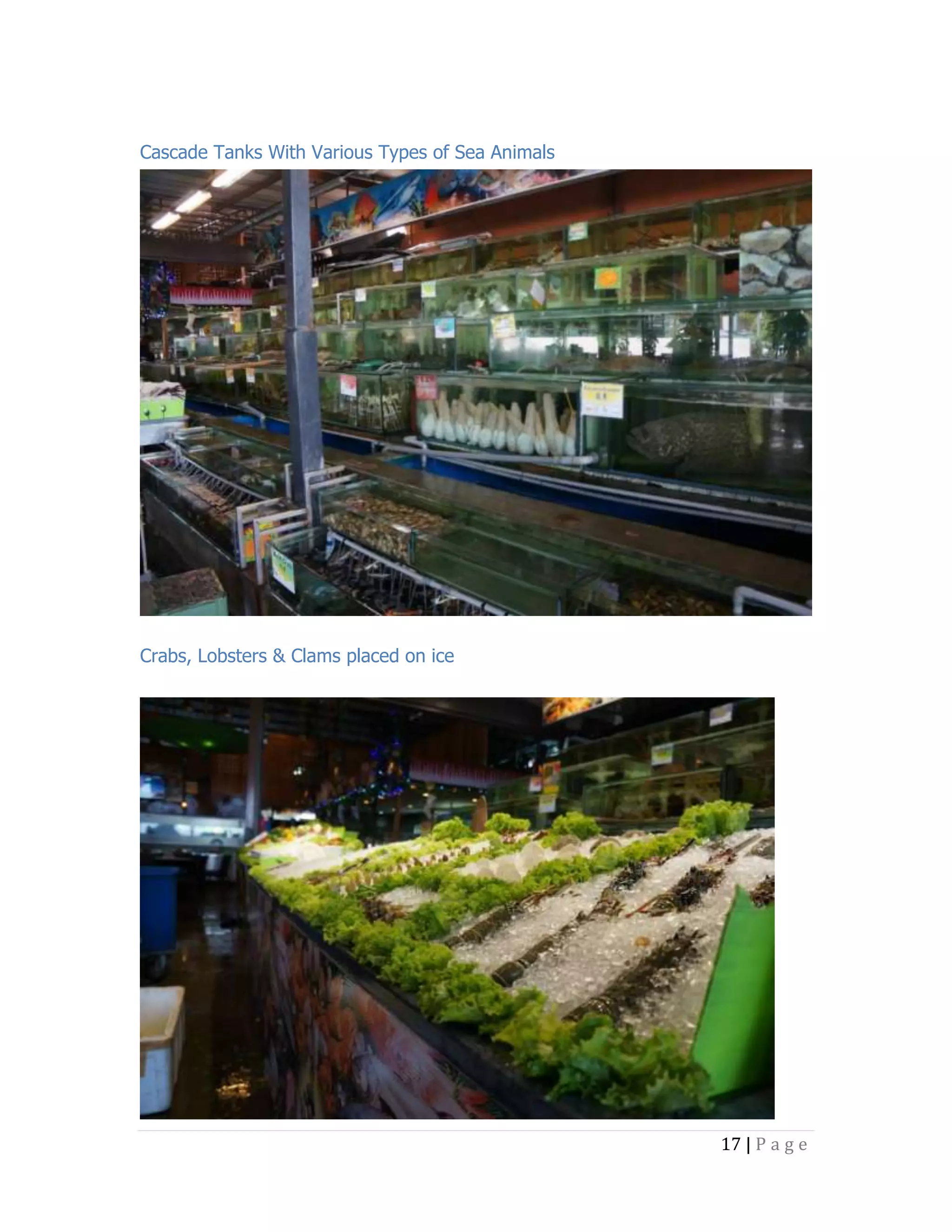 Cascade Tanks With Various Types of Sea Animals

Crabs, Lobsters & Clams placed on ice

17 | P a g e

 