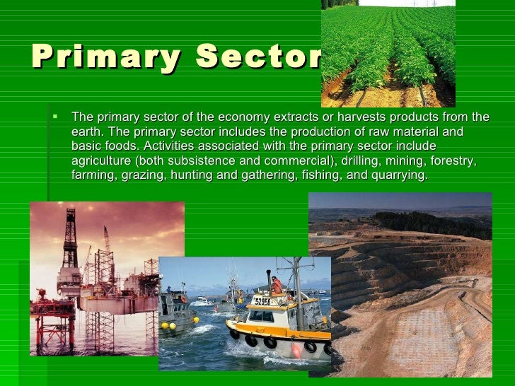 economic sectors primary economic activity