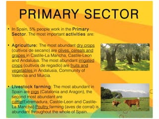 PRIMARY SECTOR
•

In Spain, 5% people work in the Primar y
Sector. The most important activities are:

•

Agriculture: The most abundant dry crops
(cultivos de secano) are olives, cereals and
grapes in Castile-La Mancha, Castile-Leon
and Andalusia. The most abundant irrigated
crops (cultivos de regadío) are fruits and
vegetables in Andalusia, Community of
Valencia and Murcia.

•

Livestock far ming: The most abundant in
Spain are pigs (Catalonia and Aragon), the
second most abundant are
cattle(Extremadura, Castile-Leon and CastileLa Mancha).Poultry farming (aves de corral) is
abundant throughout the whole of Spain.

 