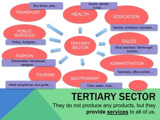 Economic sectors | PPTX