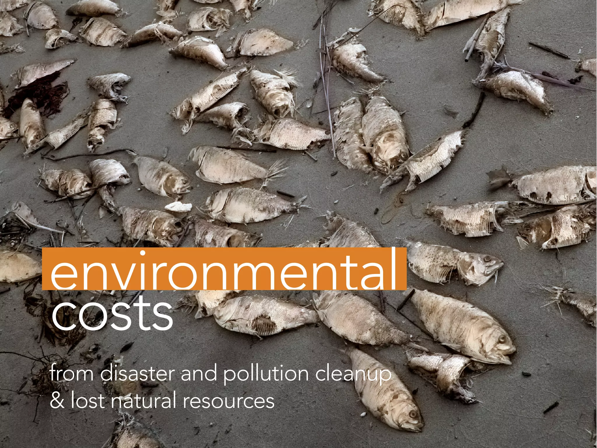 costs
from disaster and pollution cleanup
& lost natural resources
 