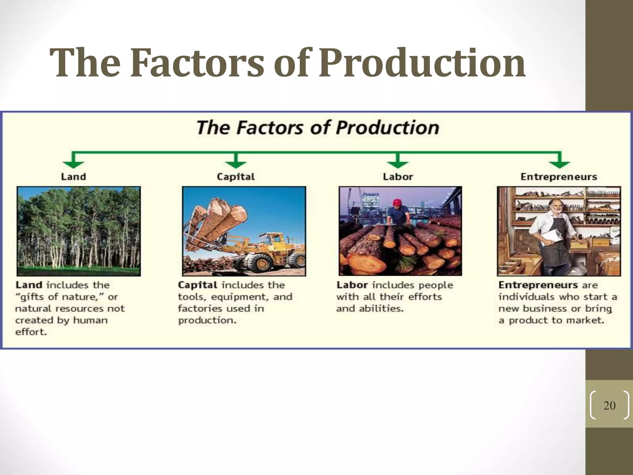 The Factors of Production
20
 