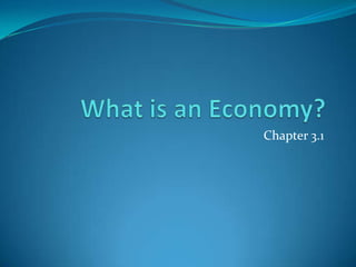 What is an Economy? Chapter 3.1 