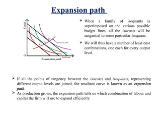 Comprehensive Overview of Industrial Economics and Production Functions ...