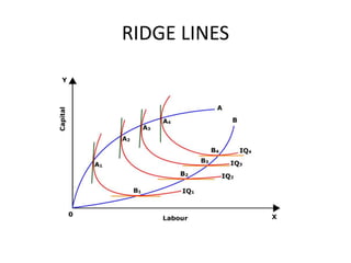 RIDGE LINES
 