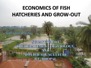 ECONOMICS OF FISH
HATCHERIES AND GROW-OUT
 