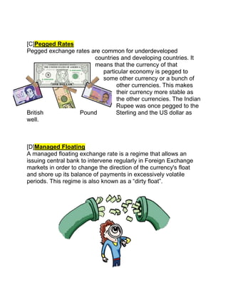 Exchange Rate Project Economics Project Class 12 (Foreign Exchange Markets) | PDF