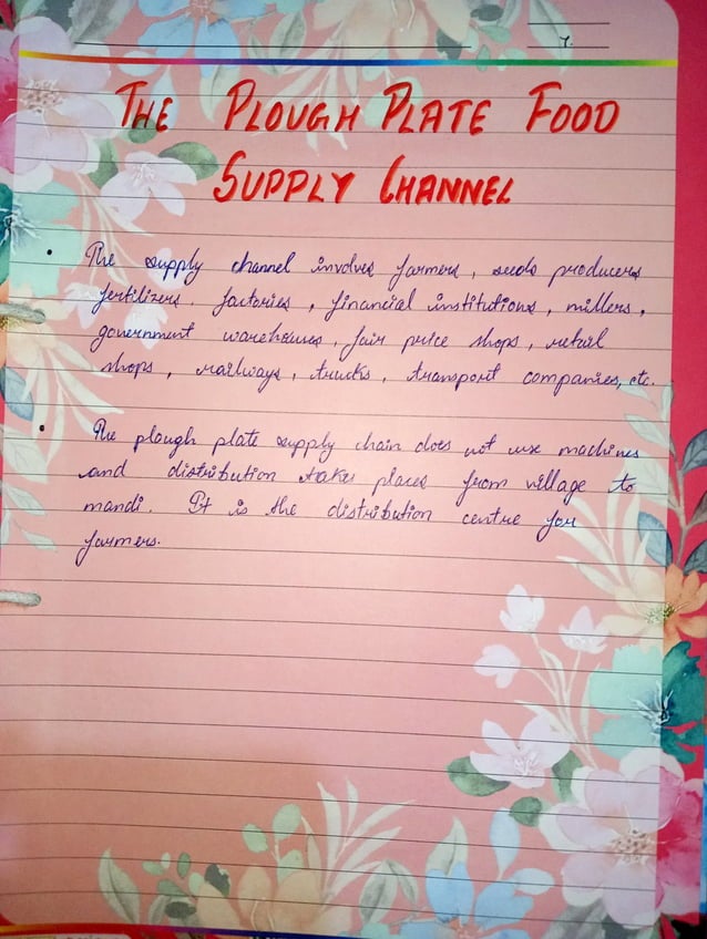 Economics Project (Food supply channel in India).pdf