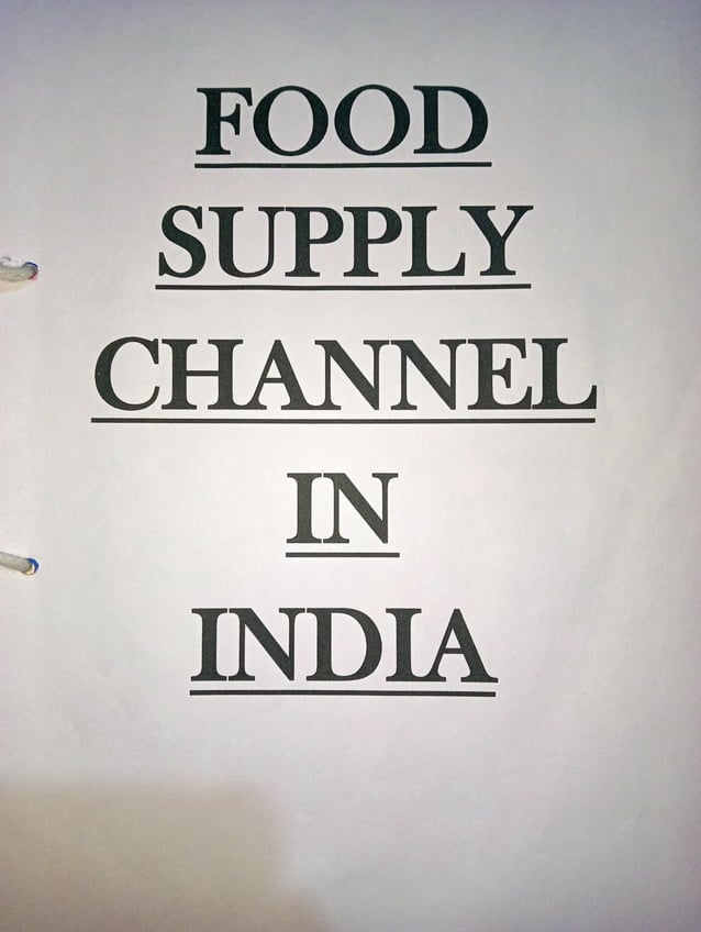 Economics Project (Food supply channel in India).pdf