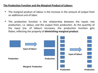 Labour and capital intensive | PDF